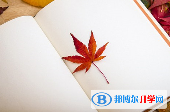 2021年大理中考查詢系統的密碼記不到了怎么辦