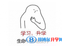 2021年德宏中考特長生招生簡章