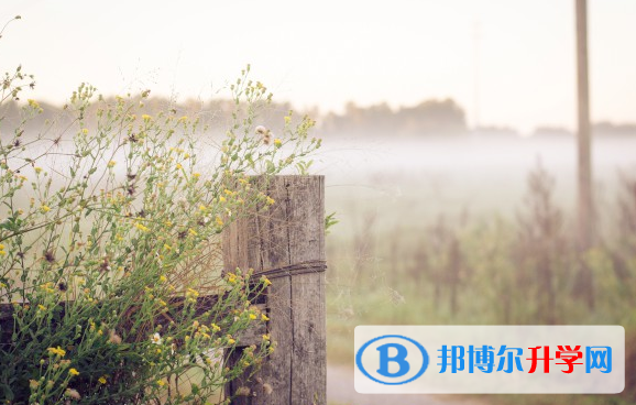 2021年德宏中考上的學校