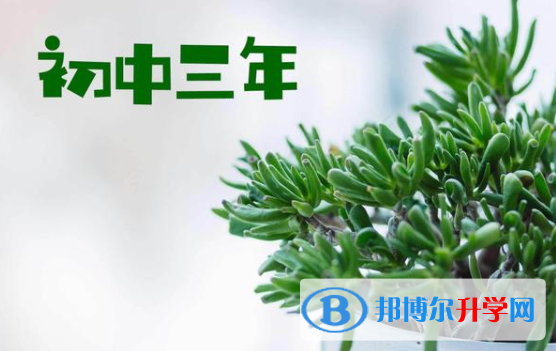 2021年德宏中考網絡應用平臺