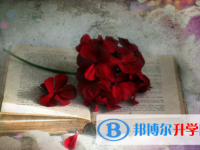 2021年怒江中考體考標準
