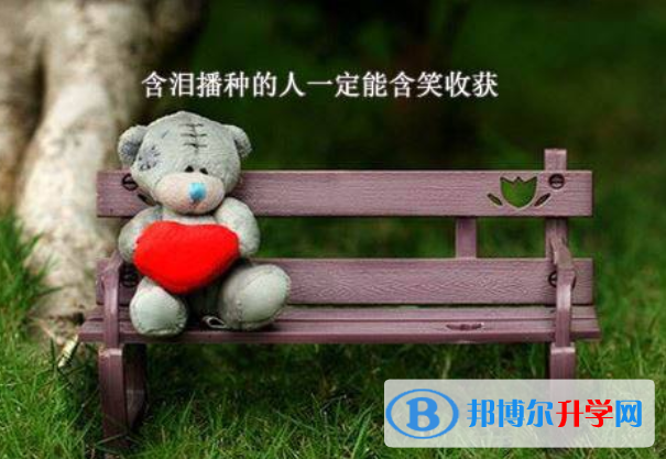 2021年攀枝花近幾年中考重點線