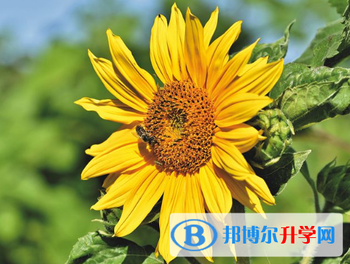 2021年迪慶中考成績查詢入口