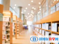 2021年迪慶怎樣從網上查詢中考成績