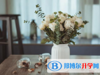 2021年迪慶中考報名號