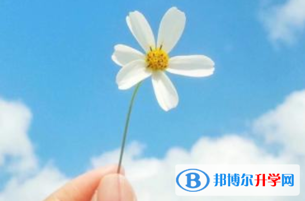 2021年攀枝花中考報考人數