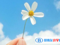 2021年攀枝花中考報考人數