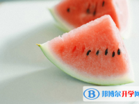 2021年攀枝花考起重高的人數