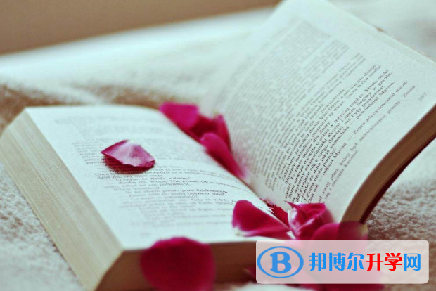 2021年攀枝花中考看成績是在哪個網(wǎng)站