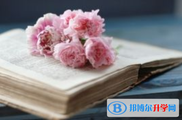 2021年攀枝花中考成績重點線