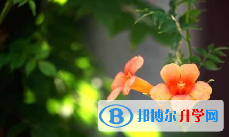 2021年德陽(yáng)中考時(shí)間安排