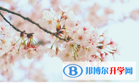 2021年德陽中考升學(xué)率