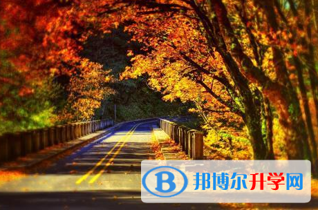 2021年德陽中考生活注意事項