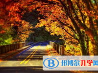 2021年德陽中考生活注意事項