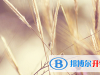 2021年宜賓如何查詢中考成績