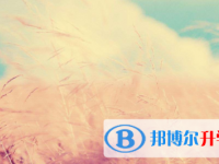 2021年宜賓如何查詢中考成績單