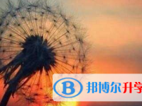 2021年宜賓外地生中考怎沒成績