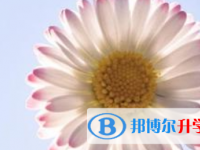 2021年宜賓網上查詢中考成績怎么查詢