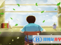 2021年遂寧近年中考重點線