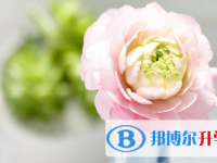 2021年宜賓中考查詢成績