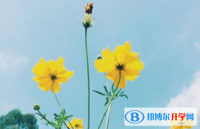 2021年遂寧中考報名系統