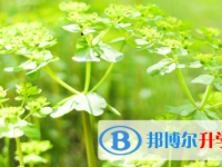 2021年宜賓中考成績什么時候出來