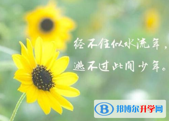 2021年廣元中考錄取結果查詢