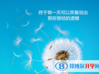 2021年廣安中考錄取報名網(wǎng)
