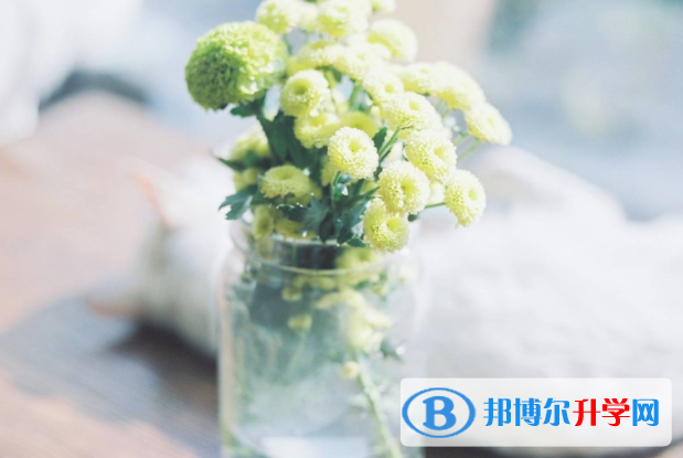 2021年廣安中考上的學(xué)校