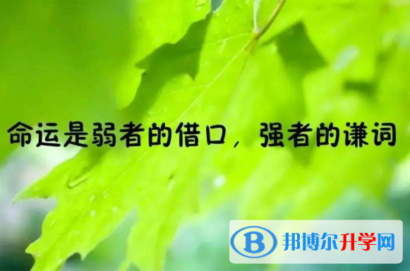2021年廣安中考人數