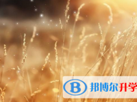 2021年宜賓歷年中考重點