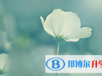 2021年宜賓中考報考人數(shù)