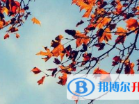 2021年宜賓中考報名網(wǎng)站