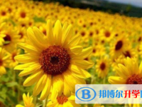 2021年廣元中考錄取報名網(wǎng)