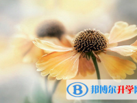 2021年廣安中考網(wǎng)上報(bào)名