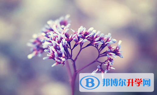 2021年廣安中考網上報考信息平臺