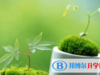2021年廣安中考網(wǎng)絡(luò)應(yīng)用服務(wù)平臺(tái)