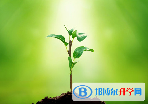 2021年廣安中考網絡平臺