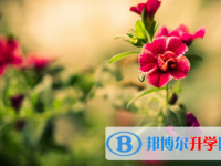 2021年廣安中考網(wǎng)絡(luò)登錄