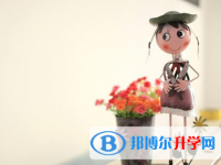 2021年廣安中考網(wǎng)絡(luò)服務(wù)應(yīng)用平臺(tái)