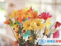 2021年廣元中考升學錄取比例