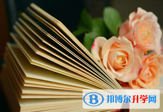 2021年廣安中考重點(diǎn)復(fù)習(xí)資料