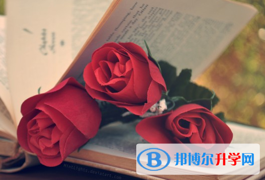 2021年廣安中考志愿官網