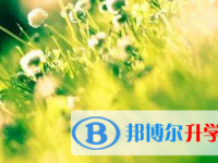 2021年宜賓中考錄取報名網