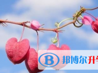2021年宜賓中考錄取規劃線