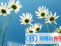 2021年宜賓中考錄取結果