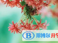 2021年宜賓中考志愿填報網址