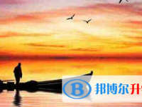 2021年宜賓中考志愿填報