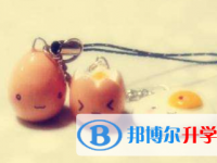2021年宜賓中考志愿如何填報