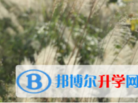 2021年宜賓中考志愿可以填幾個
